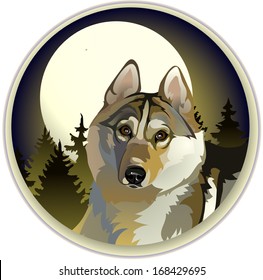 sad lone wolf