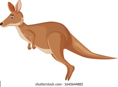 Sad looking kangaroo hopping on white background illustration