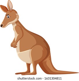 Sad looking kangaroo standing on white background illustration