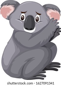 Sad looking koala on white background illustration