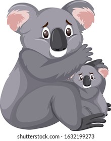 Sad Looking Koalas On White Background Stock Vector (royalty Free 