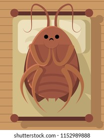 sad metamorphosis cockroach