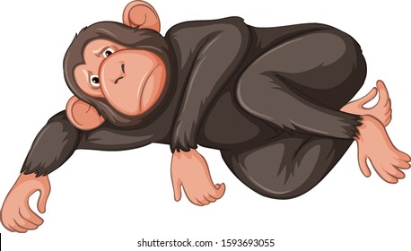 Sad monkey on white background illustration
