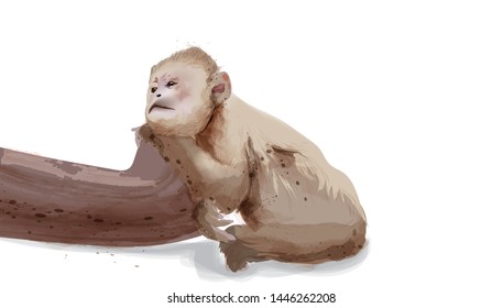 Sad monkey Vector watercolor isolated on white illustration
