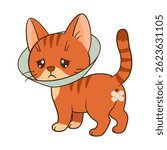 Sad orange tabby cat with cone collar after sterilization operation. Chibi Flat style clean, simple design. For veterinary and children’s content, pet care blogs, cards, stickers, tshirts, poster
