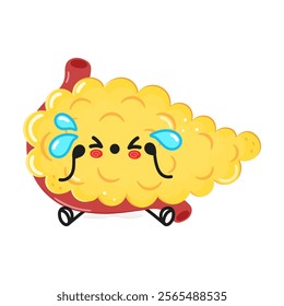 Sad Pancreas character. Vector hand drawn cartoon kawaii character illustration icon. Isolated on white background. Sad Pancreas character concept