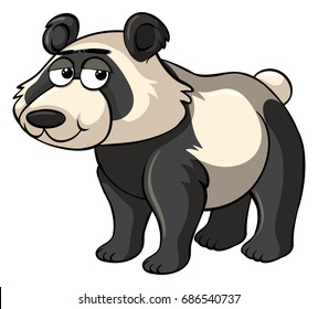 Sad panda on white background illustration