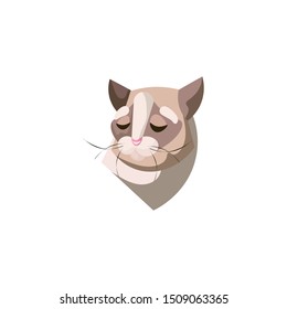 Sad pastel colored cats face with closed eyes vector illustration