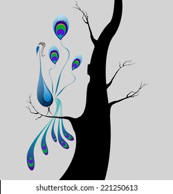 Sad Peacock