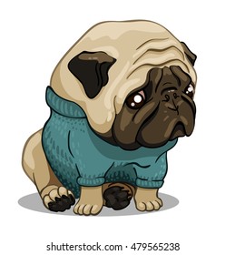 sad pug in blue sweater