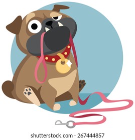 sad pug puppy sitting with dog-lead in it's mouth and asking for a walk. Cartoon character. Vector illustration. Flat character design.