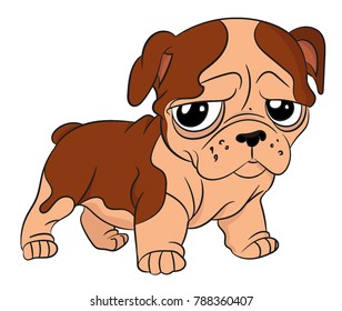sad puppy isolated on white background