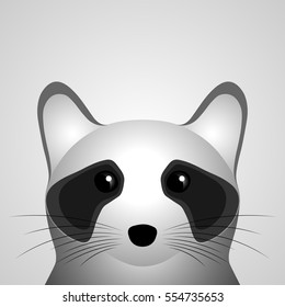 Sad raccoon