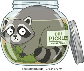 Sad raccoon trapped inside a large glass jar of dill pickles with forest dweller food storage wildlife preserves vegetables container illustration character humorous surprised