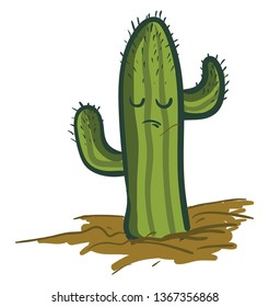 Sad saguaro cactus plant vector or color illustration