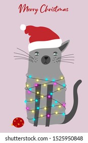 Sad siamese cat in garlands. Christmas cute postcard. Postcard with a cat. Vector design for print