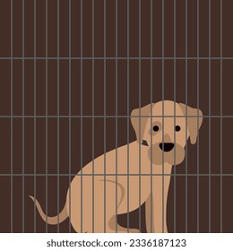 sad sitting puppy cage animal shelter vector illustration