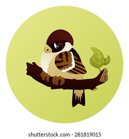 Sad sparrow sitting on a branch