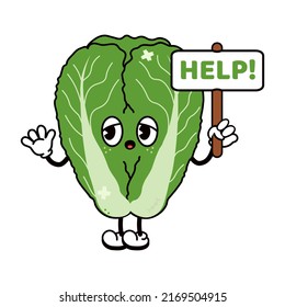Sad suffering sick cute Chinese cabbage asks for help character. Vector flat cartoon illustration icon design. Isolated on white backgound. Suffering unhealthy Chinese cabbage character