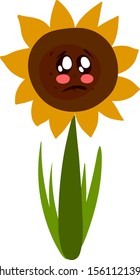 Sad sunflower, illustration, vector on white background.