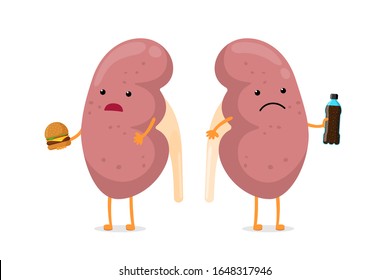 Sad unhealthy ill kidneys character hold in hand fast food burger and soda beverage bottle. Human anatomy genitourinary system sick internal organ. Vector bad nutrition addiction cartoon illustration