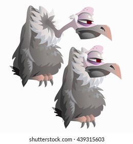 Sad vulture pursed his neck isolated on a white background. Vector cartoon close-up illustration.