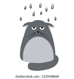 A sad, wet cat standing in the rain. A vector illustration isolated on a white background. A card, a child s drawing