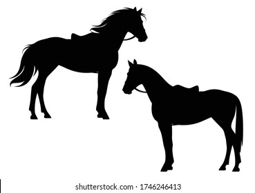 vista lateral de pie de caballo ensillado y enrollado listo para montar - juego de contorno de silueta vectorial en blanco y negro de ecuación