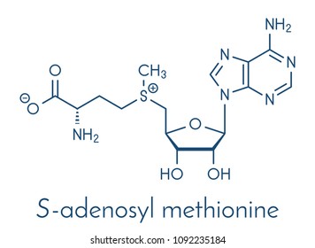 S-adenosyl methionine (SAM) molecule. Essential in several metabolic pathways. Often found in dietary supplements. Skeletal formula.