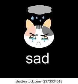 Sadness loneliness cat is crying on black background for emotional symbol 