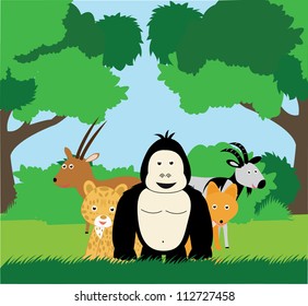  safari