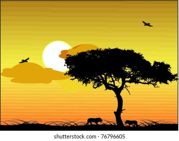 safari in Africa