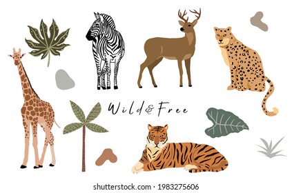 Safari animal object collection with leopard,tiger,zebra,giraffe. illustration for icon,sticker,printable