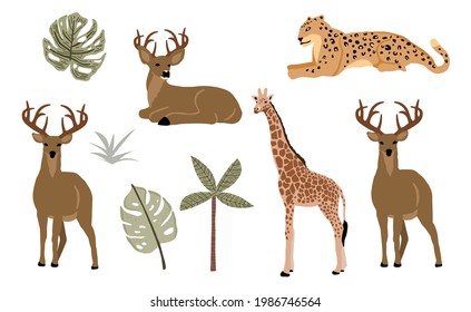 Safari animal object collection with leopard,tiger,zebra,giraffe. illustration for icon,sticker,printable
