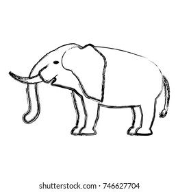 safari animals design