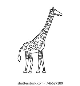 safari animals design
