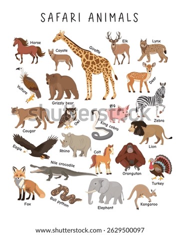 Safari Animals Educational Poster – Learn Wild Animal Names for Kids with illustrations and names of wild animals. Ideal for classroom, homeschool and early visual learning