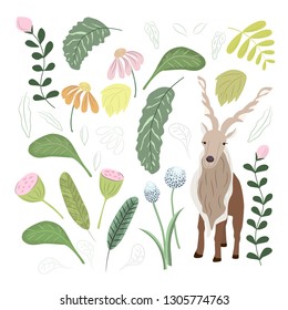 Safari animals hand drawn flat color illustrations set. Safari sketch. Animals and tropical flowers collection. Vector.