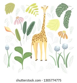 Safari animals hand drawn flat color illustrations set. Safari sketch. Animals and tropical flowers collection. Vector.