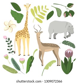 Safari animals hand drawn flat color illustrations set.     