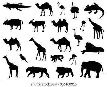 Safari Animals Set Stock Vector (royalty Free) 356108315 