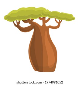 Safari baobab icon. Cartoon of Safari baobab vector icon for web design isolated on white background