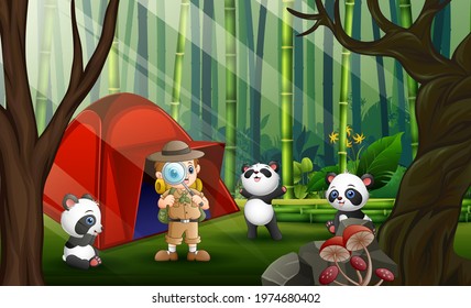A safari boy and three pandas in the bamboo forest