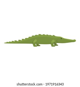 Safari crocodile icon. Cartoon of Safari crocodile vector icon for web design isolated on white background