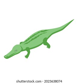 Safari crocodile icon isometric vector. Alligator animal. Cute gator