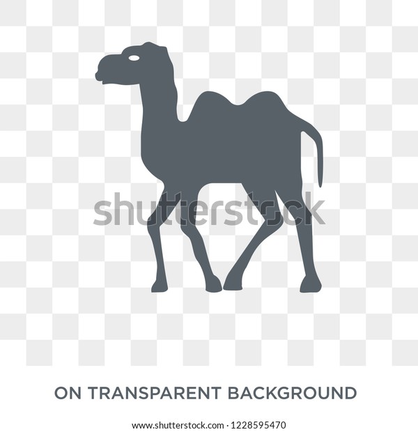 safari desert icon. Trendy flat vector safari desert\
icon on transparent background from Architecture and Travel\
collection. 