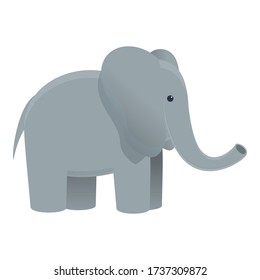Safari elephant icon. Cartoon of safari elephant vector icon for web design isolated on white background