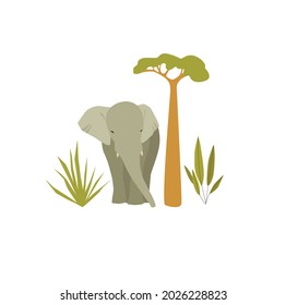 Safari elephant. Little elephant in a tropical park.