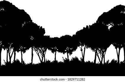 Safari forest, tree landscape isolated on the white background