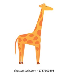 Safari giraffe icon. Cartoon of safari giraffe vector icon for web design isolated on white background